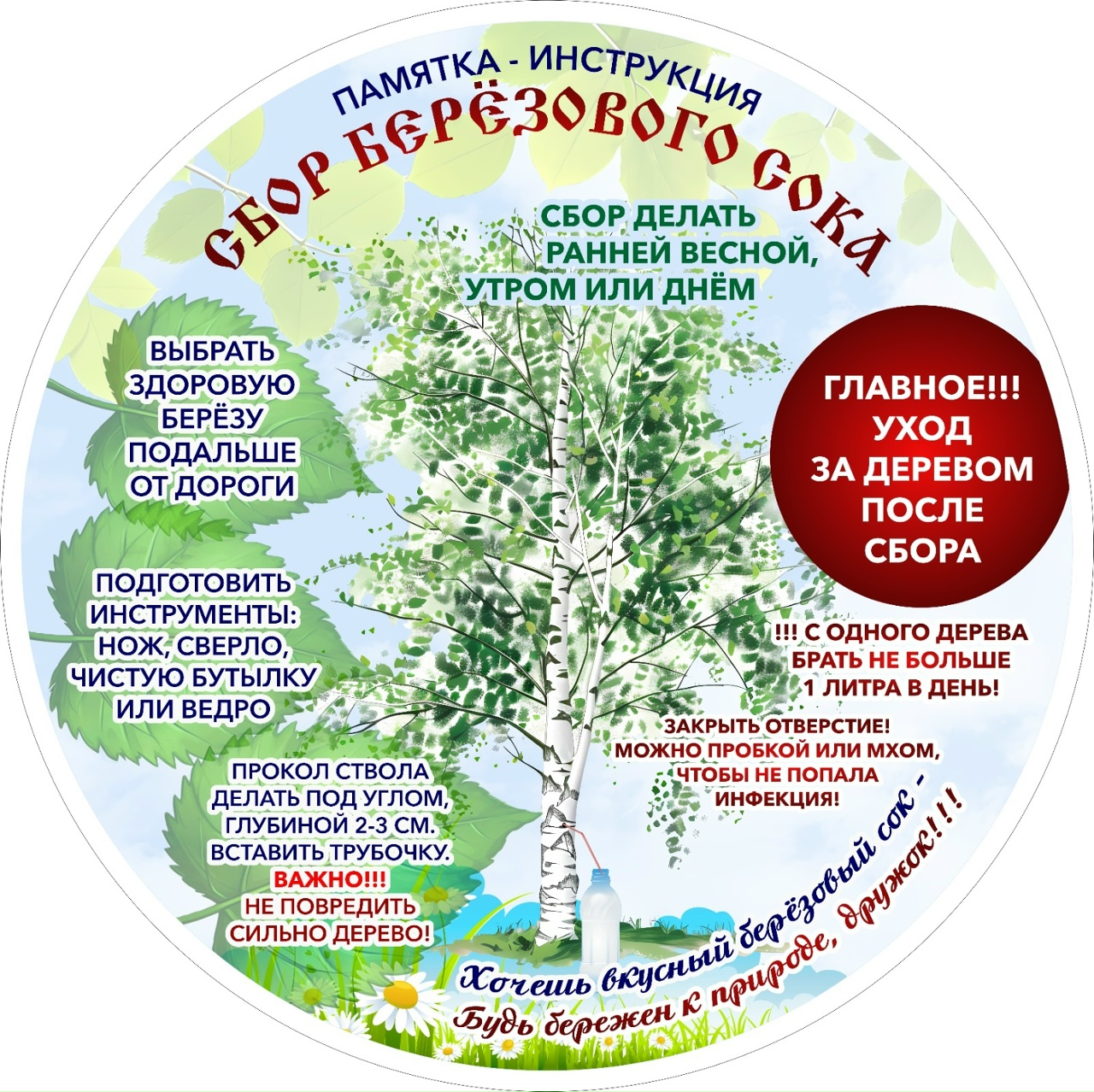 Изображения.